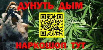 сатива Будённовск