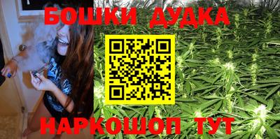 сатива Будённовск