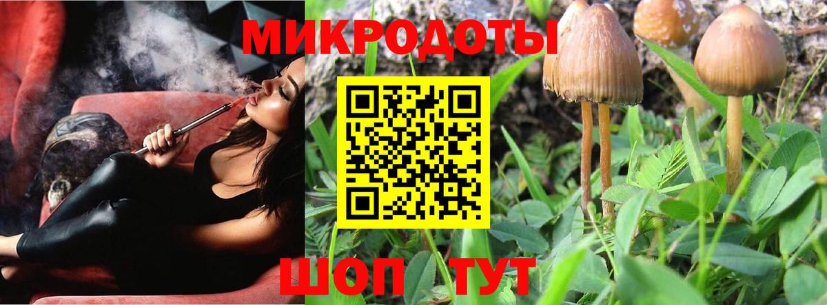 Подольск  Галлюциногенные грибы мицелий  Вход с VPN  Псилоцибиновые грибы Psilocybe 